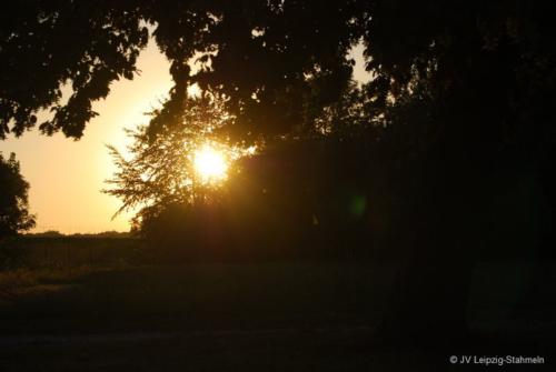 20160828 Auensee (44)