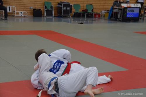 20160116 BEMU1821 (14)