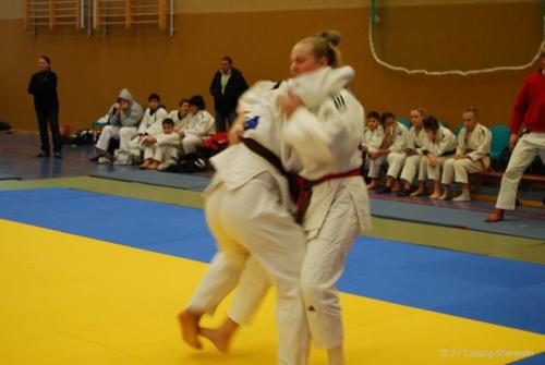 20161113 Vetschau (19)