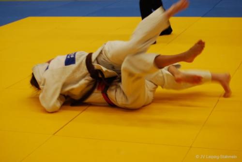 20161113 Vetschau (29)