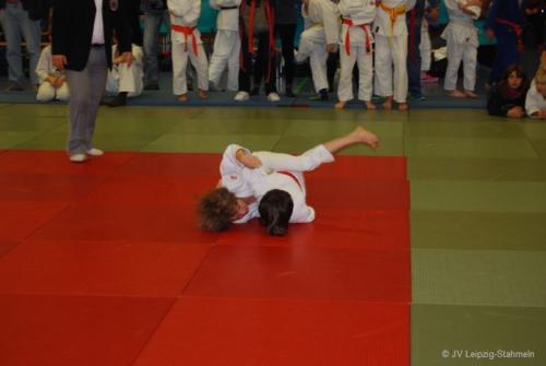 20161113 Vetschau (3)