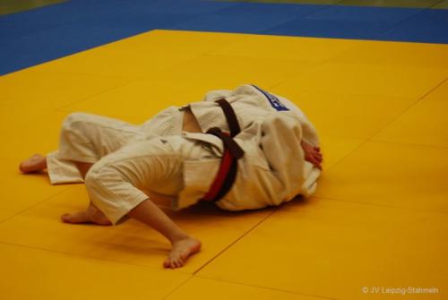 20161113 Vetschau (30)