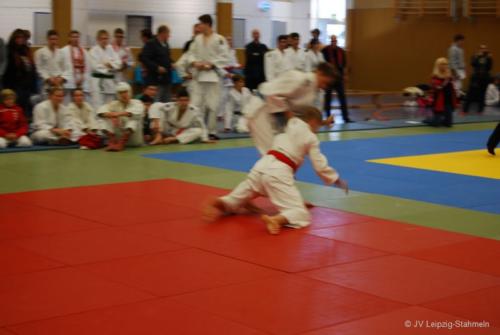 20161113 Vetschau (33)