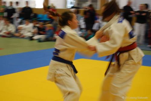 20161113 Vetschau (35)