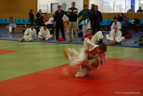 20161113 Vetschau (38)