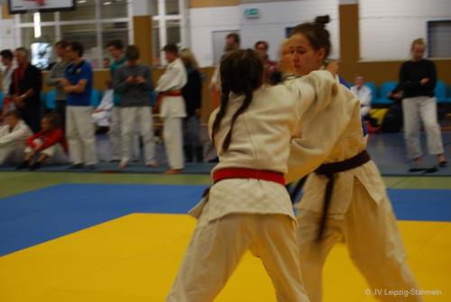 20161113 Vetschau (39)