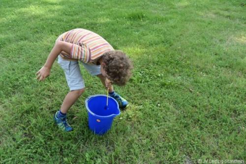 20170827 Auensee (37)