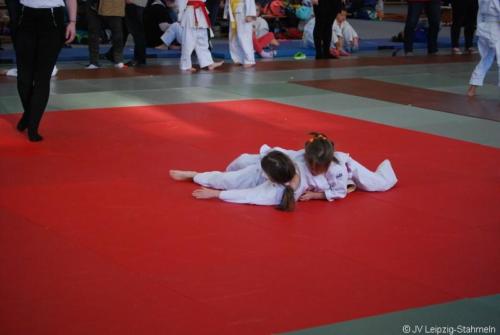 20170128 Taucha (10)