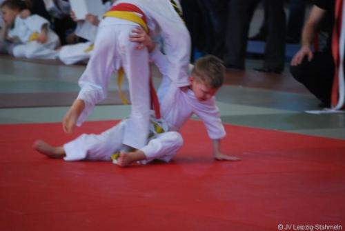 20170128 Taucha (39)