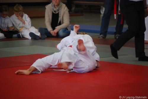 20170128 Taucha (50)