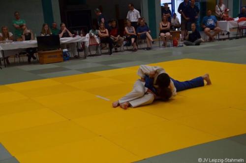 20170611 Rathenow (36)