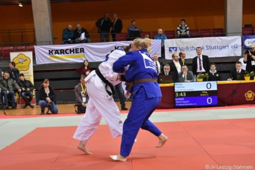 20180120 DEMFrauen (8)