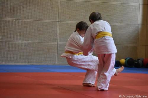 20180616 Kyupruefung (35)