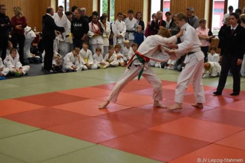 20181027 Schildau (12)