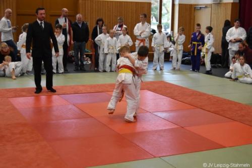 20181027 Schildau (13)