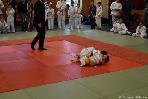 20181027 Schildau (15)