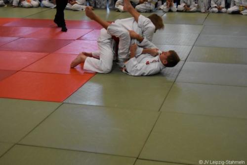 20181027 Schildau (20)