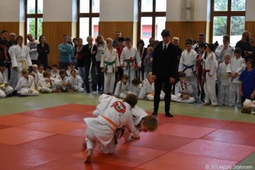 20181027 Schildau (21)