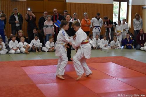 20181027 Schildau (23)