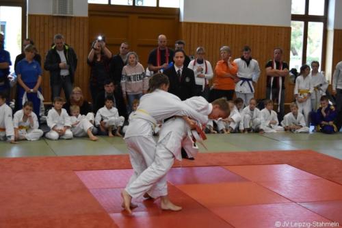 20181027 Schildau (24)