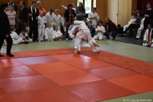 20181027 Schildau (26)