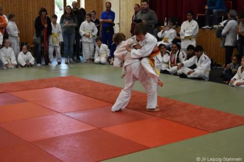 20181027 Schildau (29)