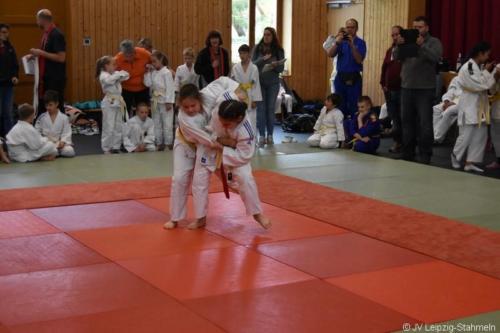 20181027 Schildau (31)