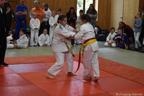 20181027 Schildau (33)