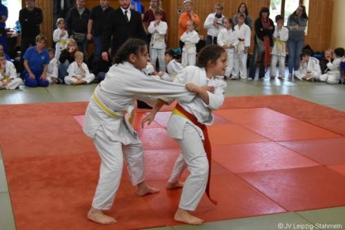 20181027 Schildau (34)