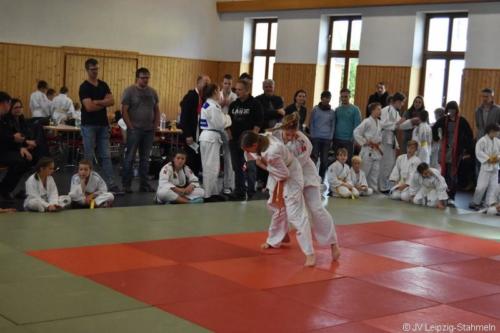 20181027 Schildau (39)