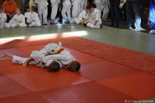 20181027 Schildau (42)