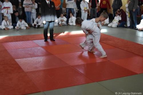 20181027 Schildau (43)