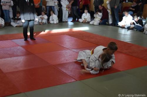 20181027 Schildau (44)