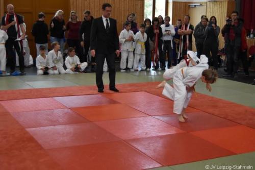 20181027 Schildau (49)