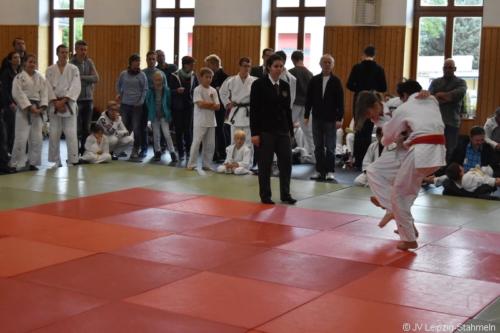 20181027 Schildau (56)