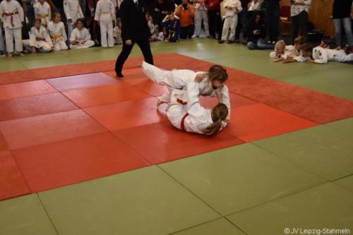 20181027 Schildau (63)