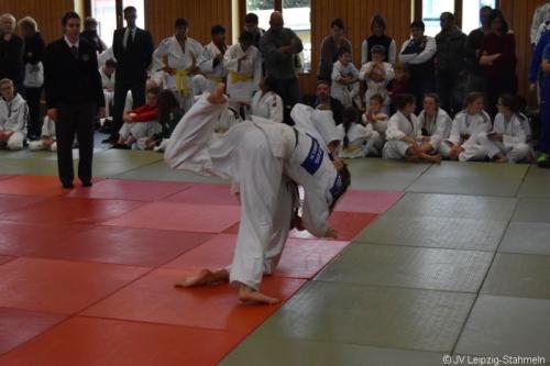 20181027 Schildau (69)