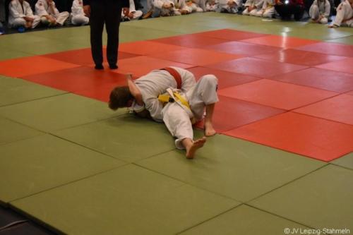 20181027 Schildau (7)