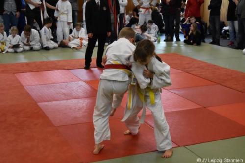 20181027 Schildau (83)