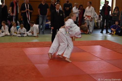 20181027 Schildau (84)