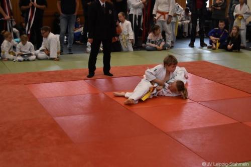 20181027 Schildau (85)