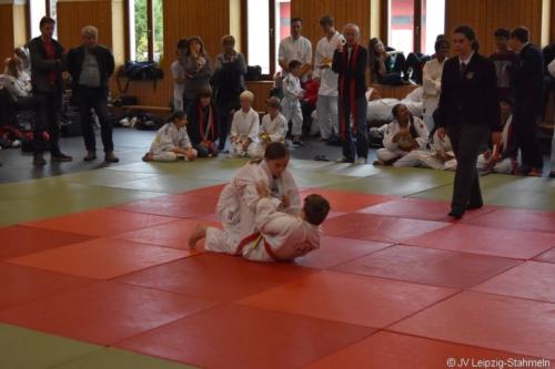 20181027 Schildau (87)