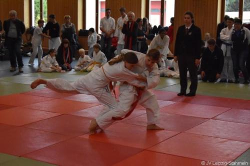 20181027 Schildau (88)