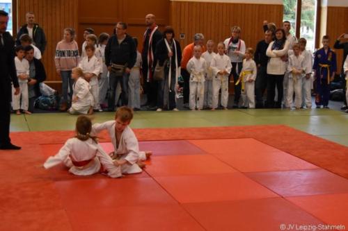 20181027 Schildau (9)