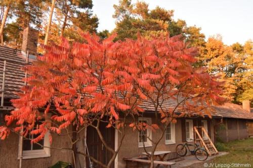 20181007 Trainingslager Oktober (108)