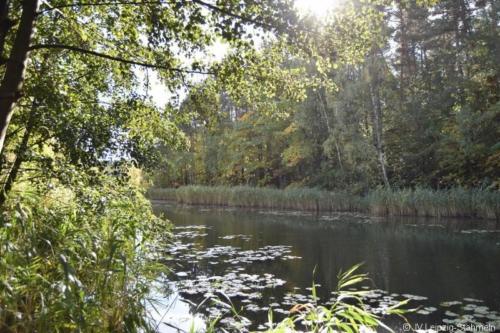 20181007 Trainingslager Oktober (35)