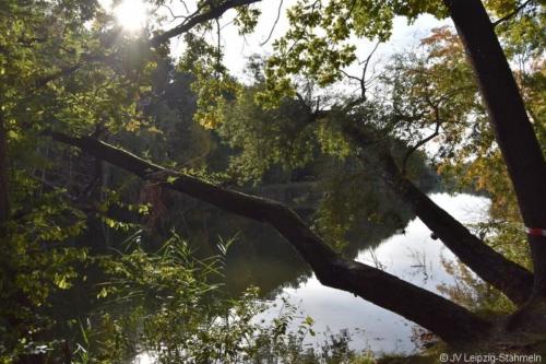 20181007 Trainingslager Oktober (49)