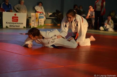 20181117 Wolfen (34)