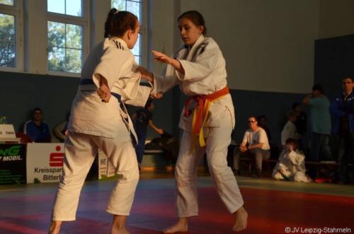 20181117 Wolfen (36)