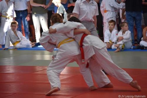 20180527 Eilenburg (11)